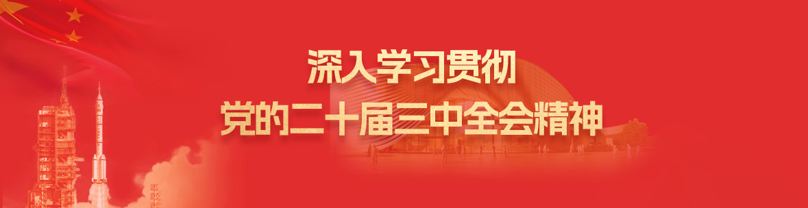 深入学习贯彻党的二十届三中全会精神
